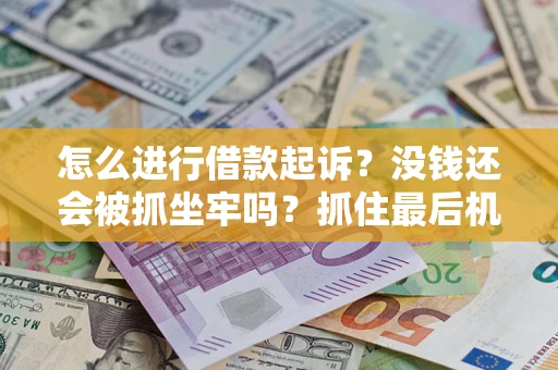 北京怎么进行借款起诉？没钱还会被抓坐牢吗？抓住最后机会！