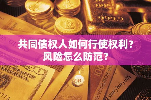 北京共同债权人如何行使权利？风险怎么防范？